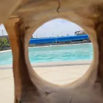 Utopia, *